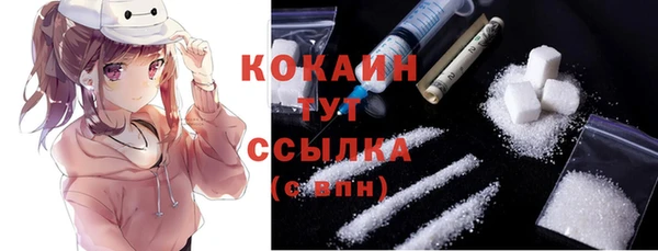 винт Надым