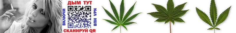 Купить закладки  Старая Русса  Канабис SATIVA & INDICA 